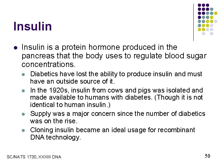 Insulin l Insulin is a protein hormone produced in the pancreas that the body