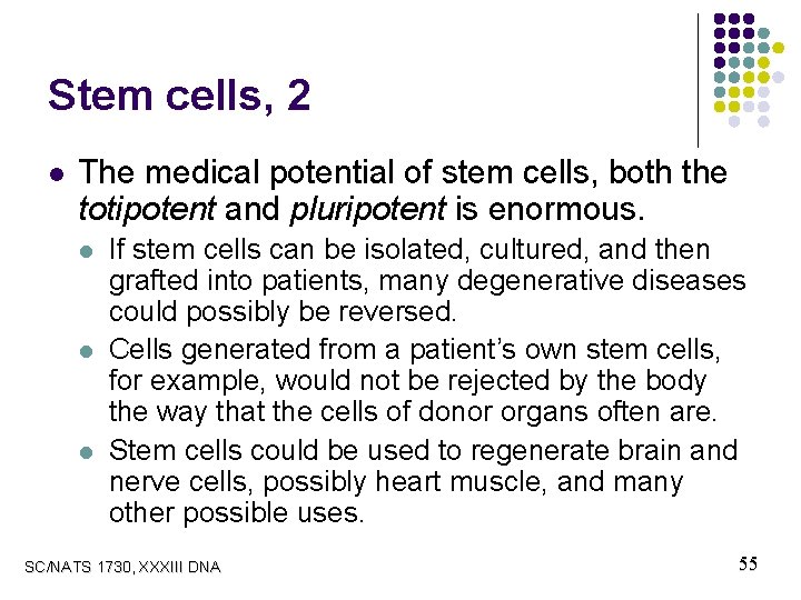 Stem cells, 2 l The medical potential of stem cells, both the totipotent and