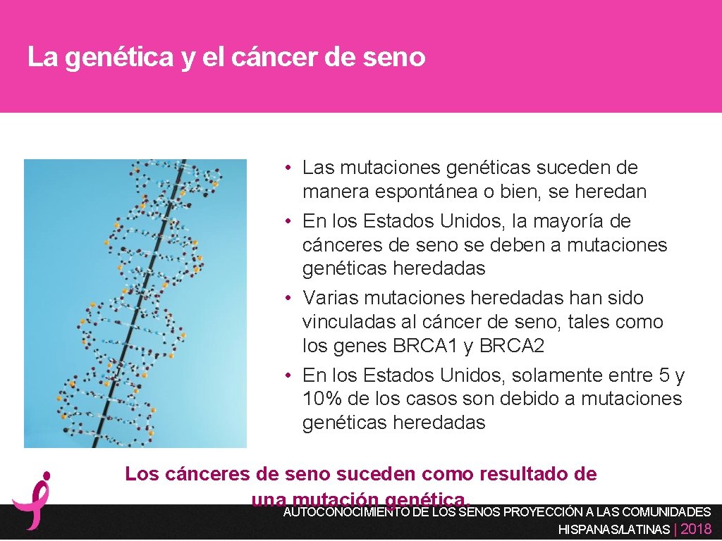 La genética y el cáncer de seno • Las mutaciones genéticas suceden de manera