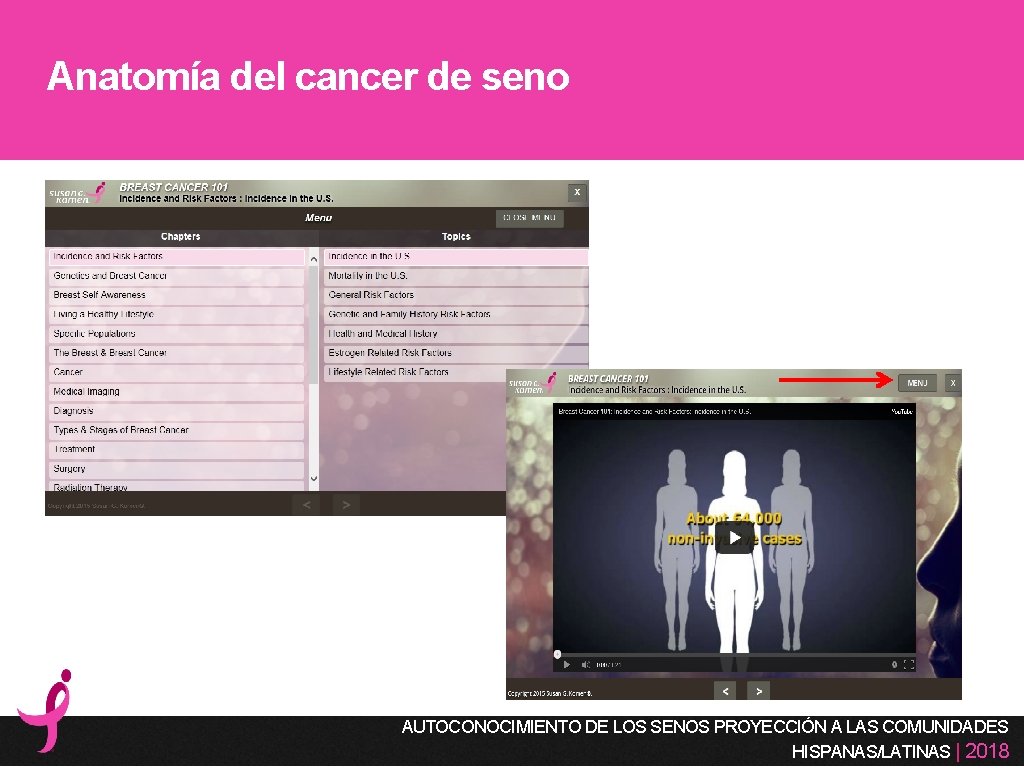 Anatomía del cancer de seno AUTOCONOCIMIENTO DE LOS SENOS PROYECCIÓN A LAS COMUNIDADES HISPANAS/LATINAS