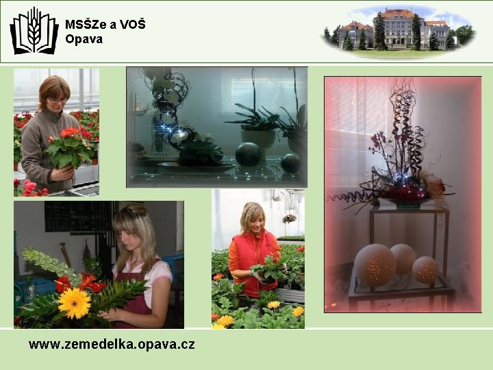 MSŠZe a VOŠ Opava www. zemedelka. opava. cz MSŠZe a VOŠ Opava www. zemedelka. opava. cz
