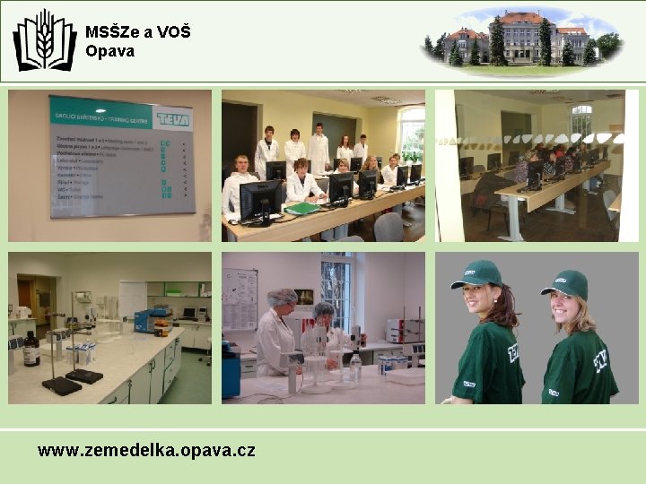 MSŠZe a VOŠ Opava www. zemedelka. opava. cz MSŠZe a VOŠ Opava www. zemedelka. opava. cz