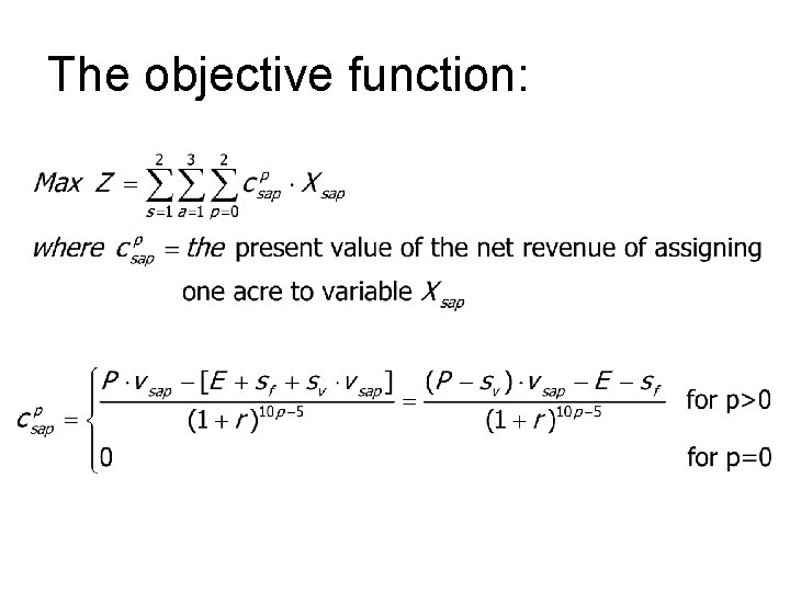 The objective function: 
