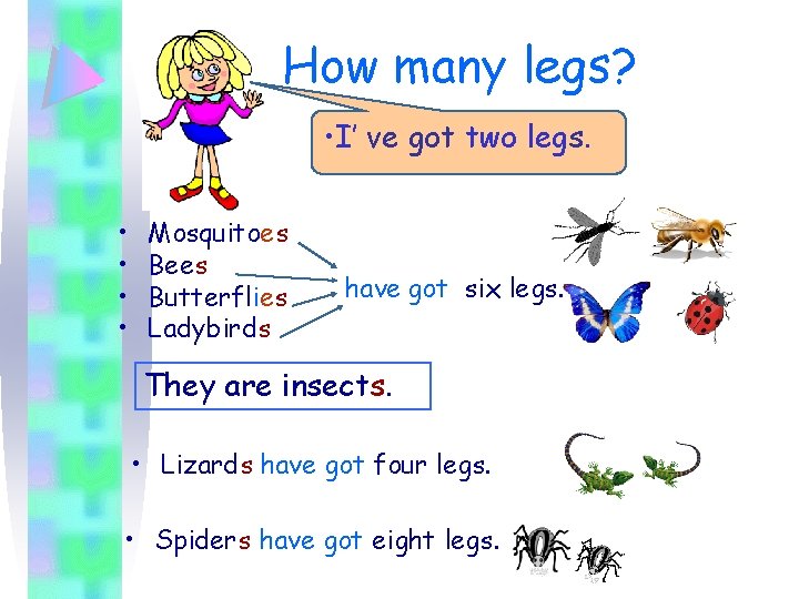 How many legs? • I’ ve got two legs. • • Mosquitoes Bees Butterflies