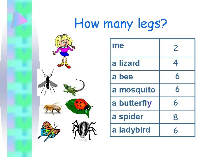 How many legs? me 2 a lizard 4 a bee 6 a mosquito 6