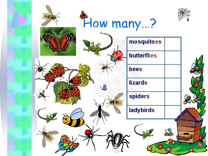 How many…? mosquitoes butterflies bees lizards spiders ladybirds 