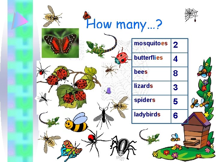 How many…? mosquitoes 2 butterflies 4 bees 8 lizards 3 spiders 5 ladybirds 6