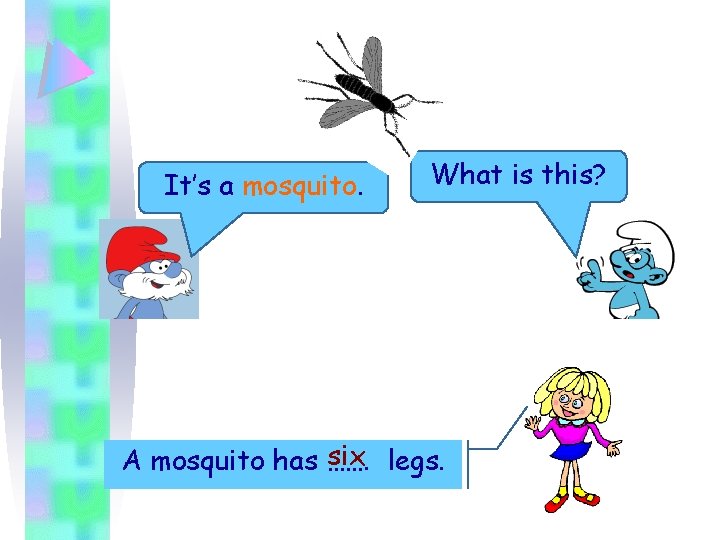 It’s a mosquito. What is this? six legs. A mosquito has ……. 