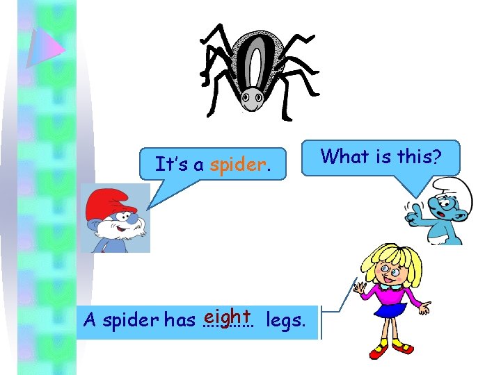It’s a spider. eight legs. A spider has ………… What is this? 