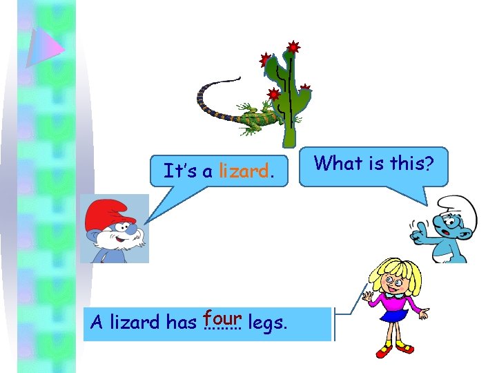 It’s a lizard. four legs. A lizard has ……… What is this? 