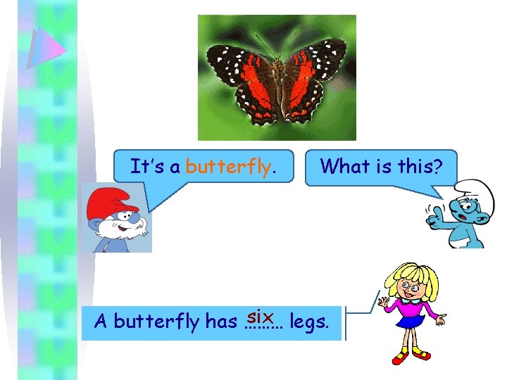 It’s a butterfly. What is this? six legs. A butterfly has ……… 