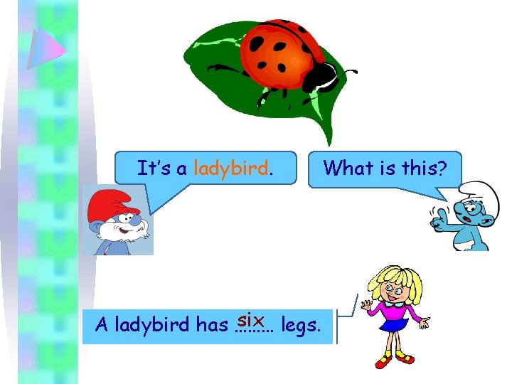 It’s a ladybird. six legs. A ladybird has ……… What is this? 
