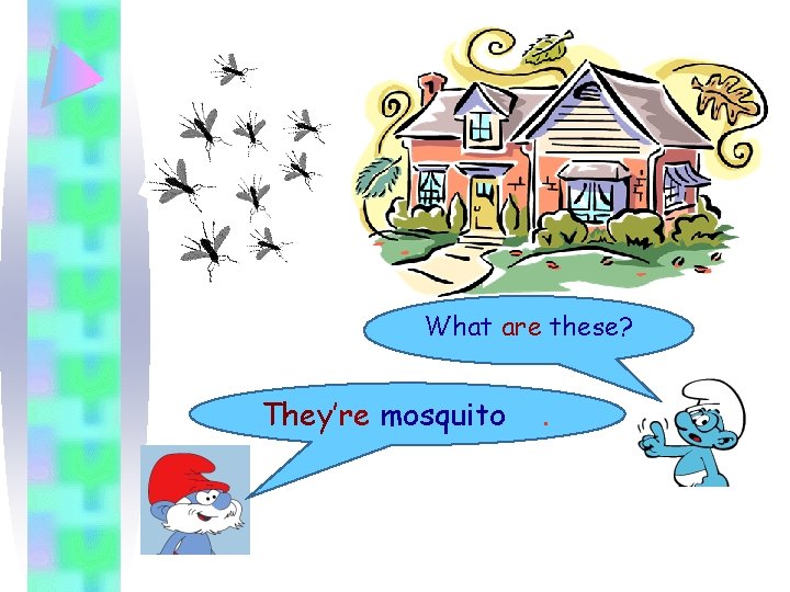 What are these? They’re mosquito . 