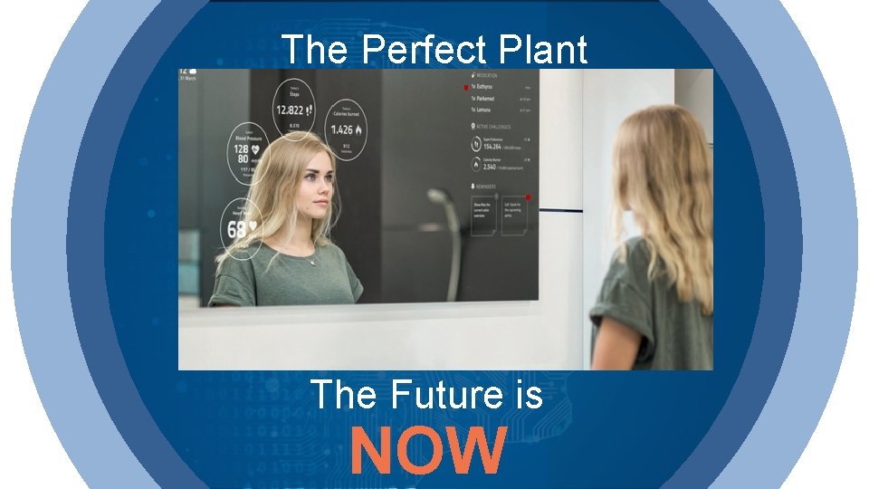 The Perfect Plant The Future is NOW 