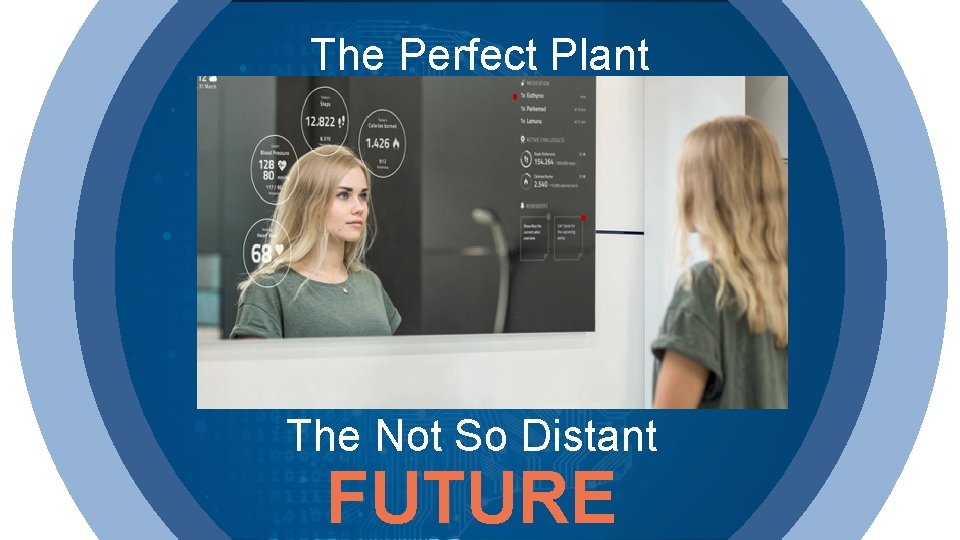 The Perfect Plant The Not So Distant FUTURE 