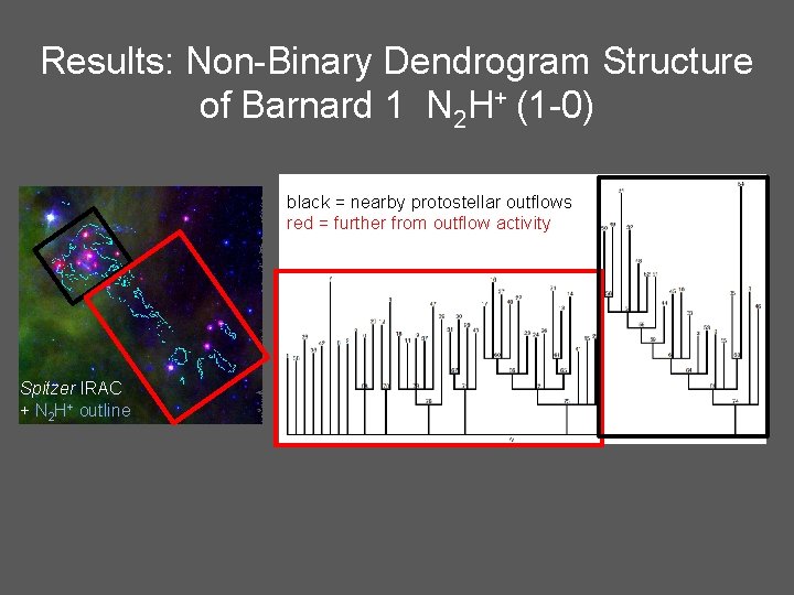 Results: Non-Binary Dendrogram Structure of Barnard 1 N 2 H+ (1 -0) black =