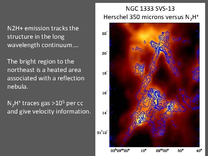 NGC 1333 SVS-13 Herschel 350 microns versus N 2 H+ emission tracks the structure