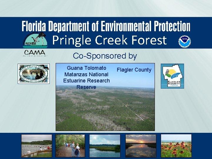 Pringle Creek Forest Co-Sponsored by Guana Tolomato Matanzas National Estuarine Research Reserve Flagler County