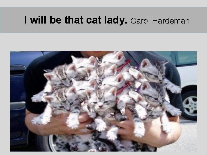 I will be that cat lady. Carol Hardeman I will be that cat lady. Carol Hardeman