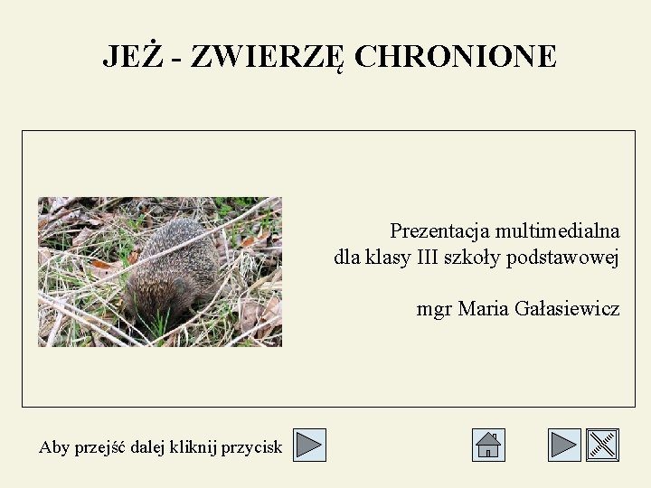 JEŻ - ZWIERZĘ CHRONIONE Prezentacja multimedialna dla klasy III szkoły podstawowej mgr Maria Gałasiewicz