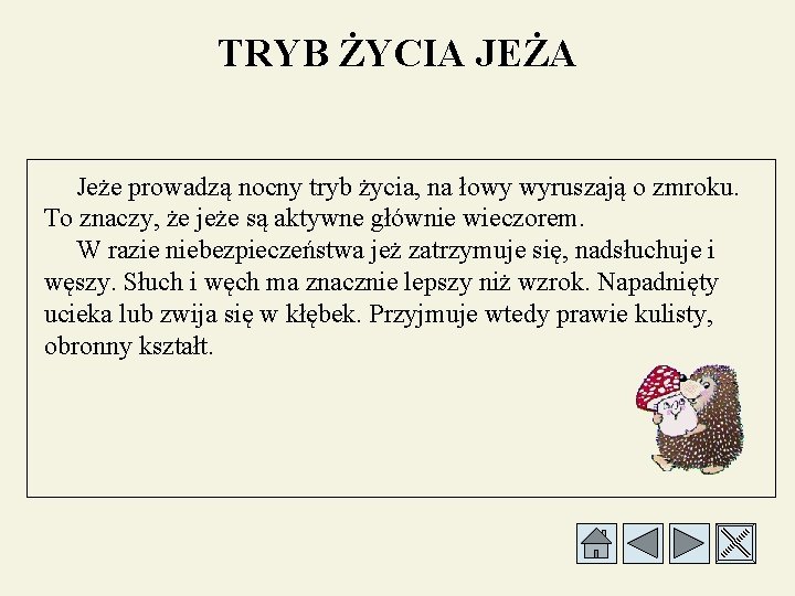 TRYB ŻYCIA JEŻA Jeże prowadzą nocny tryb życia, na łowy wyruszają o zmroku. To