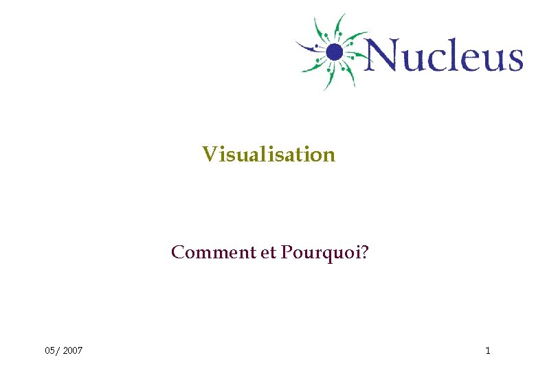 Visualisation Comment et Pourquoi? 05/ 2007 1 