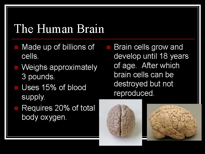 The Human Brain n n Made up of billions of cells. Weighs approximately 3