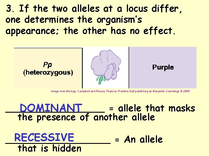 3. If the two alleles at a locus differ, one determines the organism’s appearance;