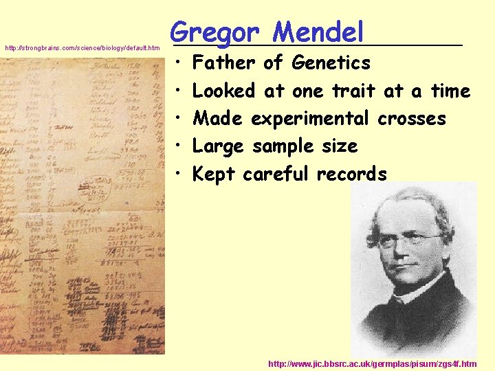 http: //strongbrains. com/science/biology/default. htm Gregor Mendel _______________ • • • Father of Genetics Looked