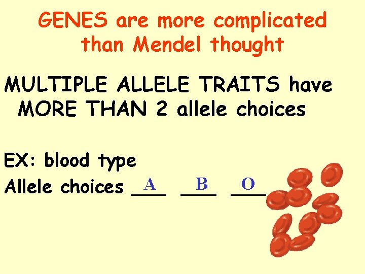 GENES are more complicated than Mendel thought MULTIPLE ALLELE TRAITS have MORE THAN 2