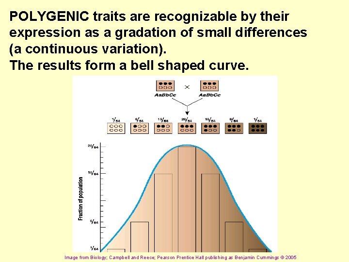 POLYGENIC traits are recognizable by their expression as a gradation of small differences (a
