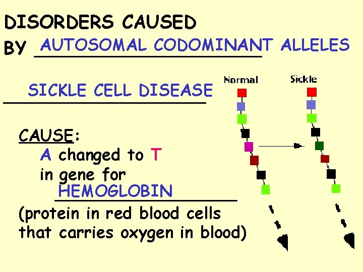 DISORDERS CAUSED AUTOSOMAL CODOMINANT ALLELES BY __________ SICKLE CELL DISEASE __________ CAUSE: A changed