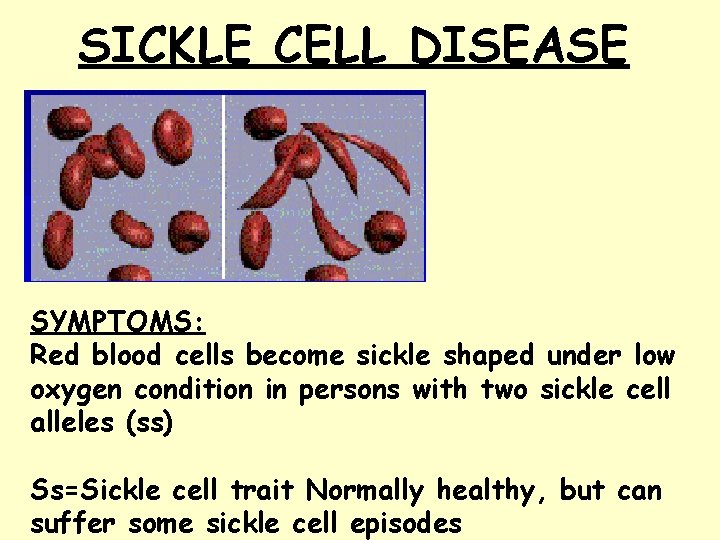 SICKLE CELL DISEASE SYMPTOMS: Red blood cells become sickle shaped under low oxygen condition