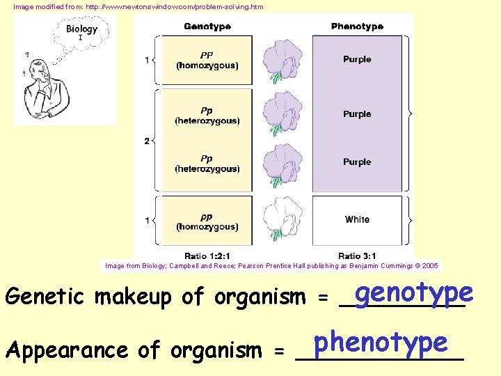Image modified from: http: //www. newtonswindow. com/problem-solving. htm Image from Biology; Campbell and Reece;