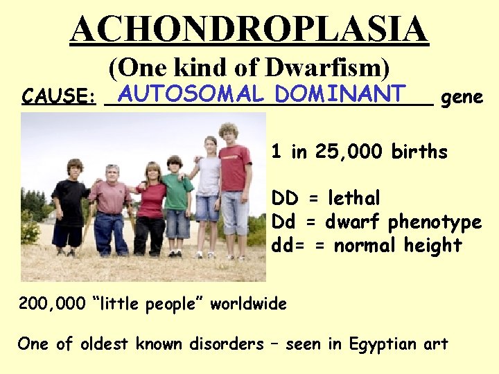 ACHONDROPLASIA (One kind of Dwarfism) AUTOSOMAL DOMINANT CAUSE: ______________ gene 1 in 25, 000