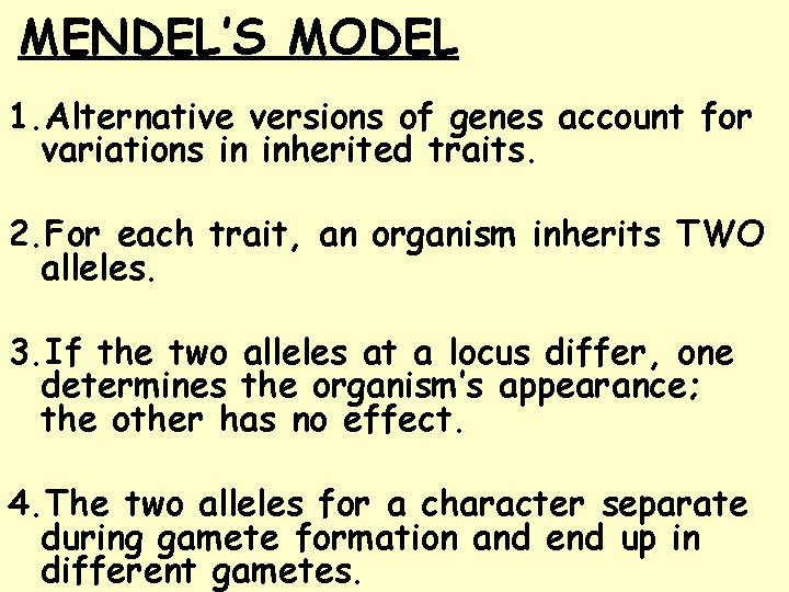 MENDEL’S MODEL 1. Alternative versions of genes account for variations in inherited traits. 2.