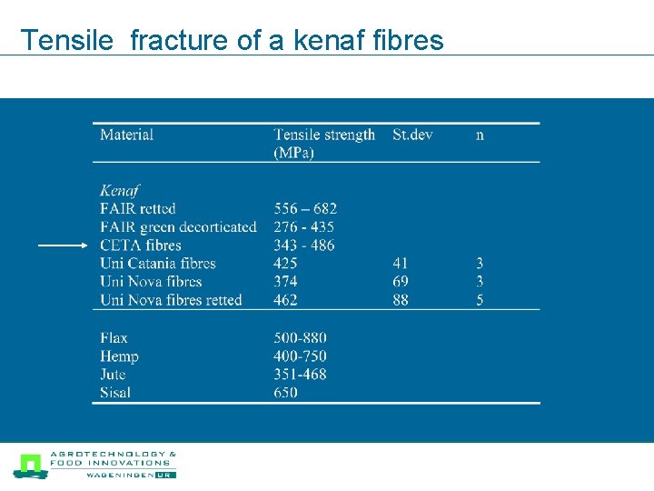 Tensile fracture of a kenaf fibres 