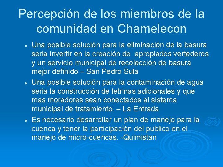 Percepción de los miembros de la comunidad en Chamelecon l l l Una posible