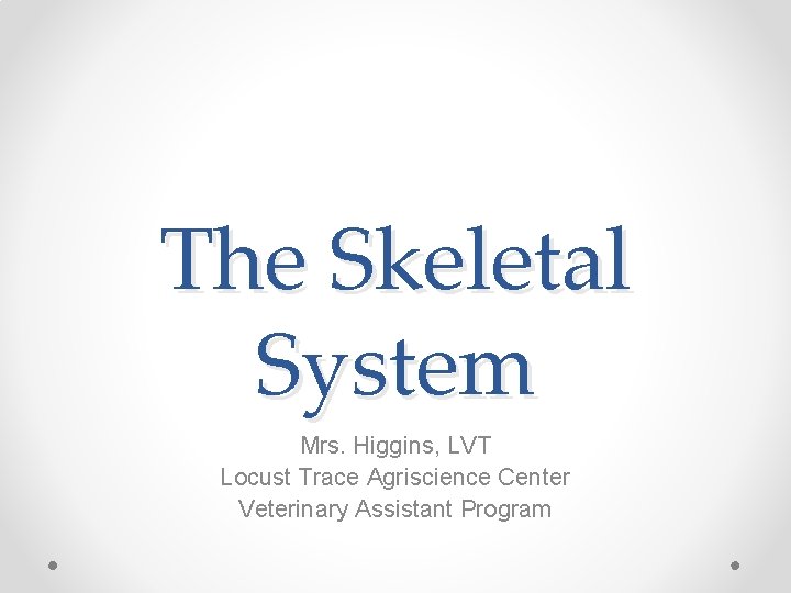 The Skeletal System Mrs. Higgins, LVT Locust Trace Agriscience Center Veterinary Assistant Program 