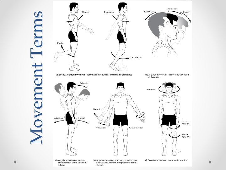 Movement Terms 