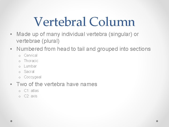Vertebral Column • Made up of many individual vertebra (singular) or vertebrae (plural) •