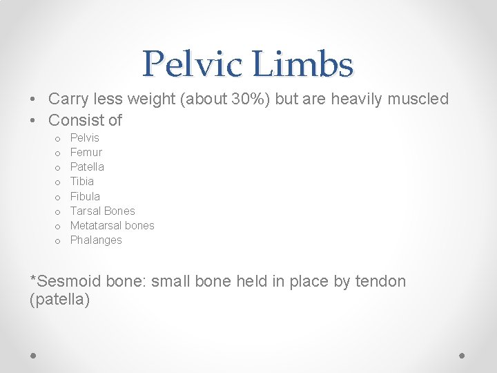 Pelvic Limbs • Carry less weight (about 30%) but are heavily muscled • Consist