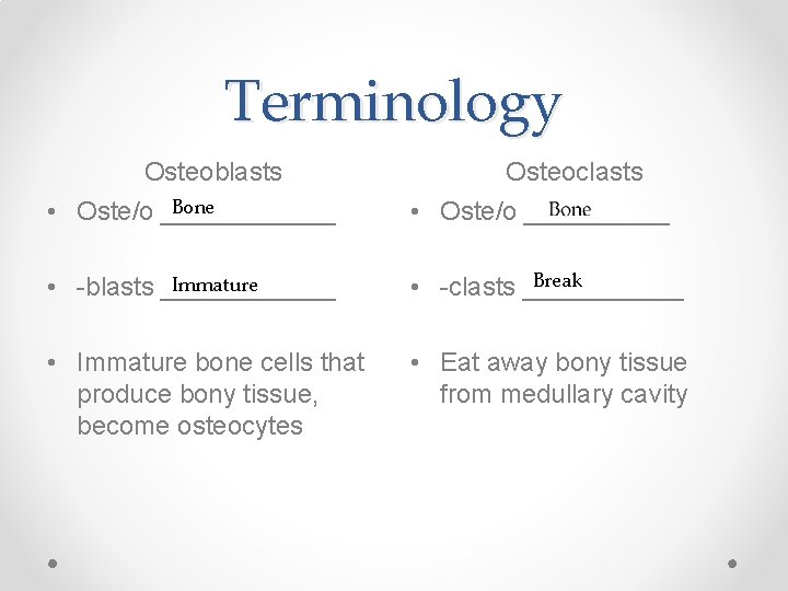 Terminology Osteoblasts Osteoclasts Bone • Oste/o ______ • Oste/o _____ Immature • -blasts ______