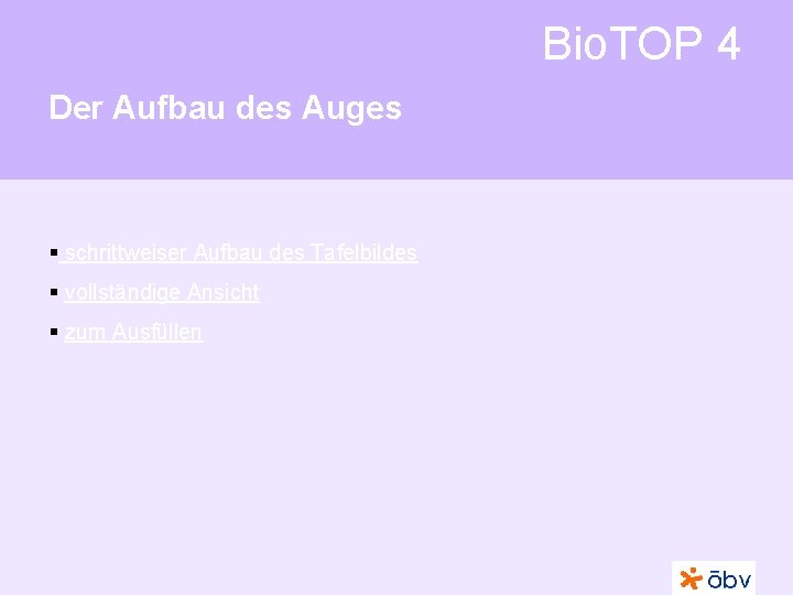 Bio. TOP 4 Der Aufbau des Auges § schrittweiser Aufbau des Tafelbildes § vollständige