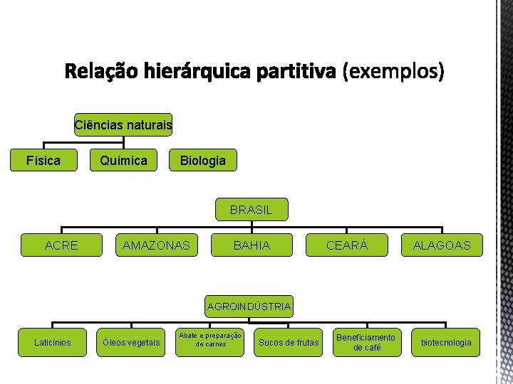 Ciências naturais Física Química Biologia BRASIL ACRE AMAZONAS BAHIA CEARÁ ALAGOAS AGROINDÚSTRIA Laticínios Óleos