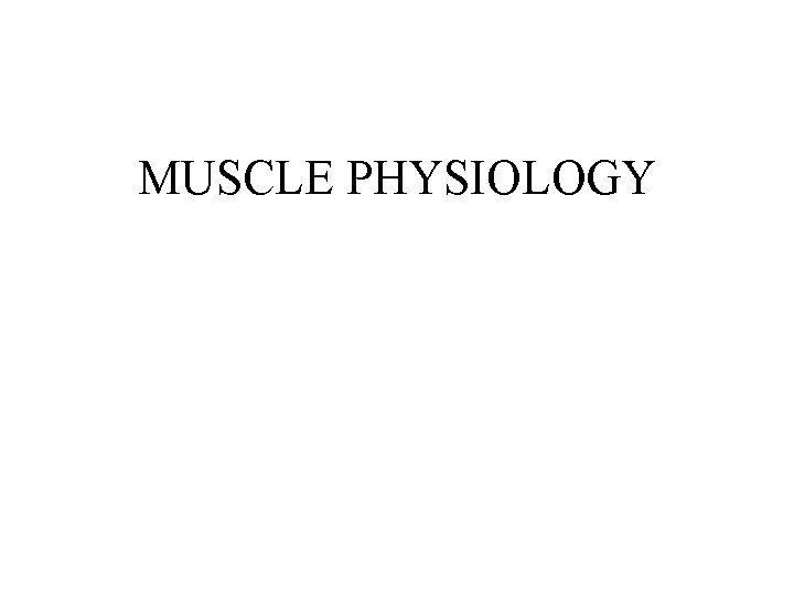 MUSCLE PHYSIOLOGY 