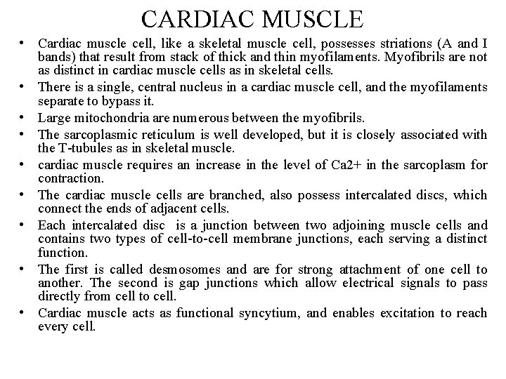 CARDIAC MUSCLE • Cardiac muscle cell, like a skeletal muscle cell, possesses striations (A