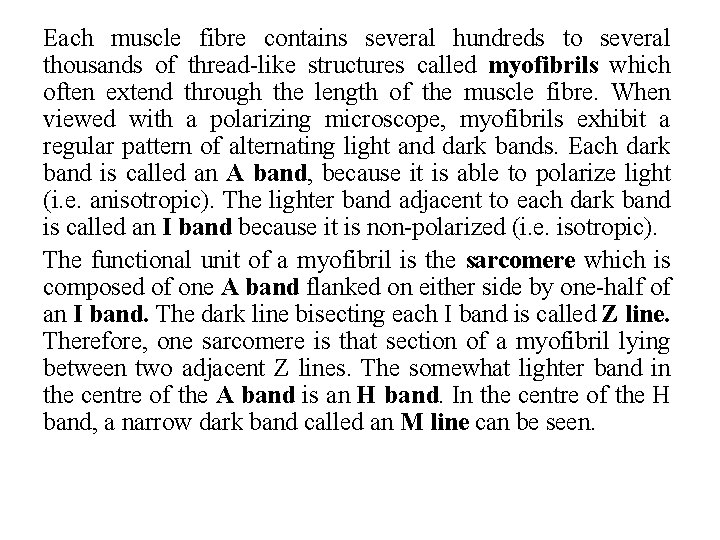 Each muscle fibre contains several hundreds to several thousands of thread-like structures called myofibrils