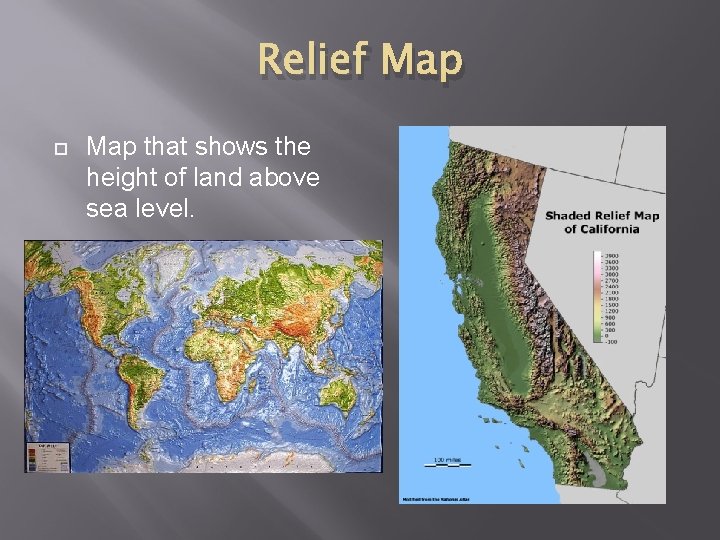 Relief Map that shows the height of land above sea level. 