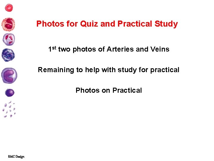 Photos for Quiz and Practical Study 1 st two photos of Arteries and Veins